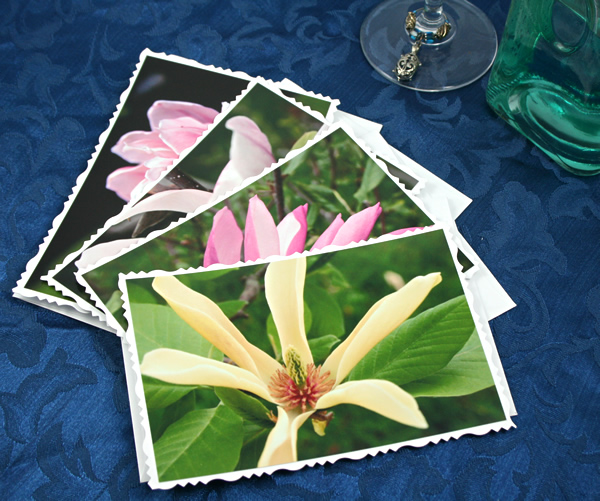 Dreamy magnolia cards, etsy, front cream, medium