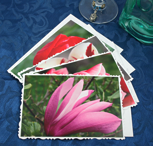 Hidden treasure cards, etsy, magnolia, medium