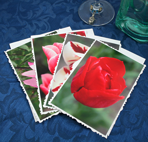 Hidden treasure cards, etsy, red tulip, medium