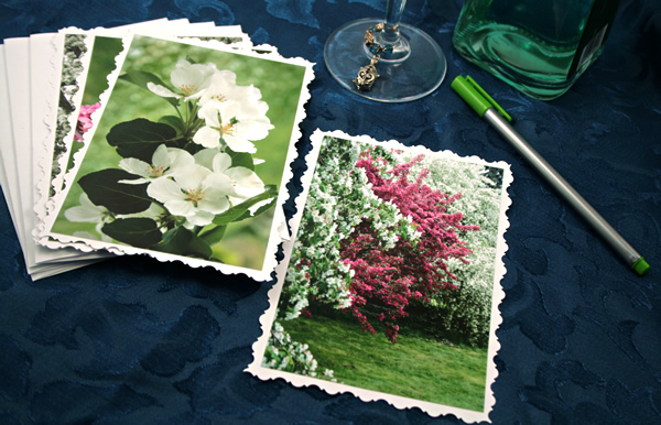 Spring blooms cards, etsy, even, medium