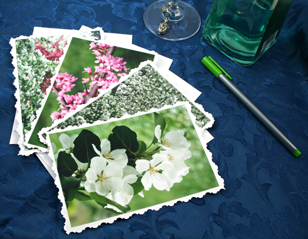 Spring blooms cards, etsy, front deck, medium