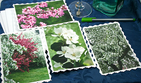 Spring blooms cards, etsy, front, medium