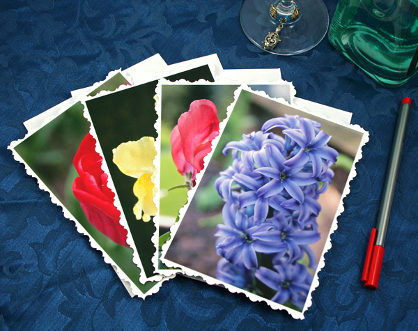 Spring garden cards, etsy, front hyacinth, medium