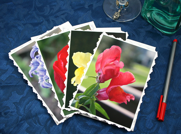 Spring garden cards, etsy, front pink snap dragon, medium