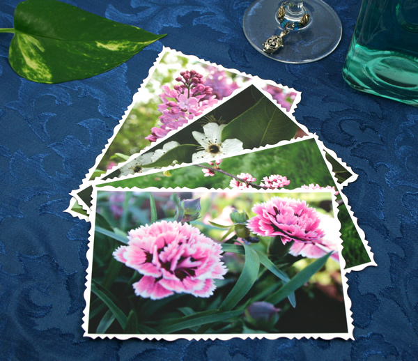 Fly into spring cards, etsy, front carnations, medium