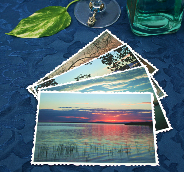 Branches over water cards, etsy, front grass, md