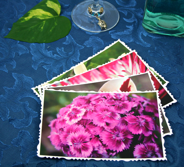 Flower crown cards, etsy, front sweet william, md