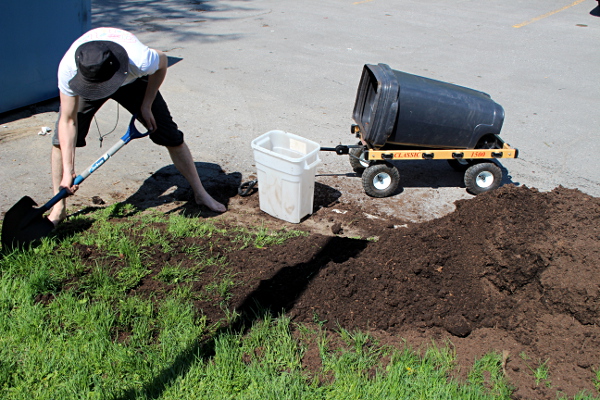 Shoveling soil, md