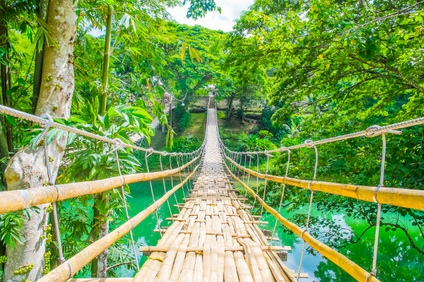 bamboo-bridge