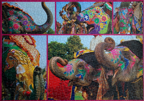 Painted Elephants, med