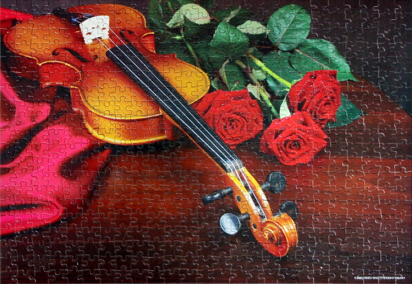 Violin