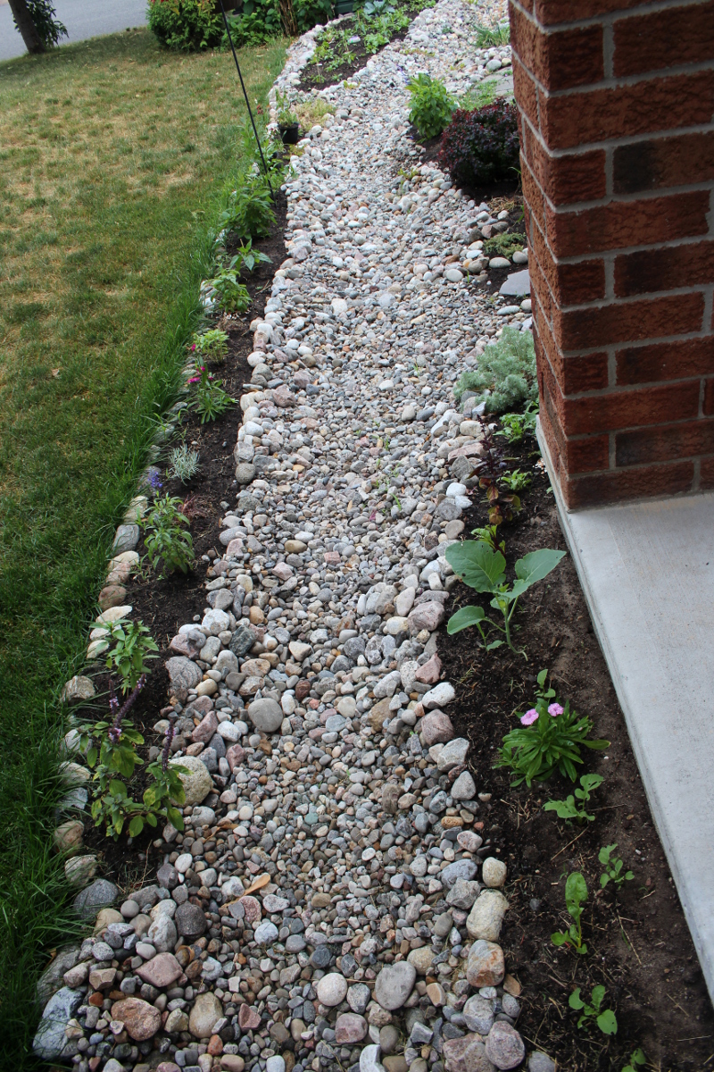Front yard edible landscaping and dry river bed - Fingering Zen