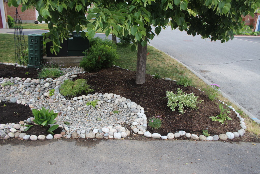 Front yard edible landscaping and dry river bed – Fingering Zen